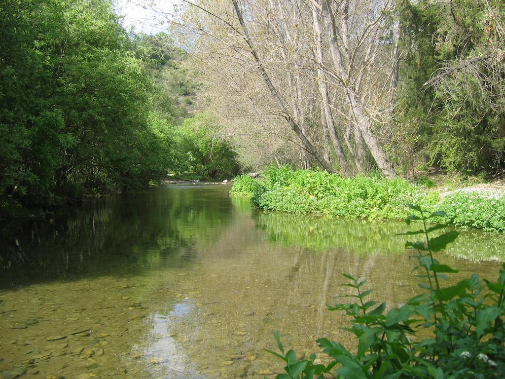 Casas Rurales Jardines Del Visir Genalguacil Εξωτερικό φωτογραφία