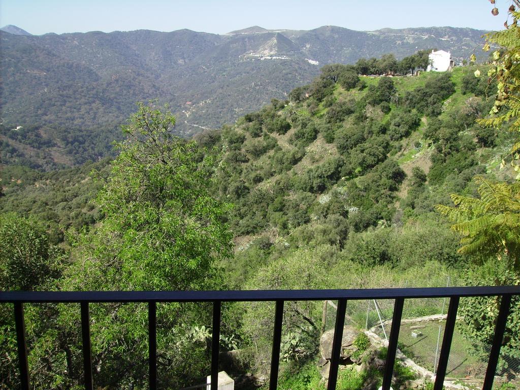 Casas Rurales Jardines Del Visir Genalguacil Εξωτερικό φωτογραφία