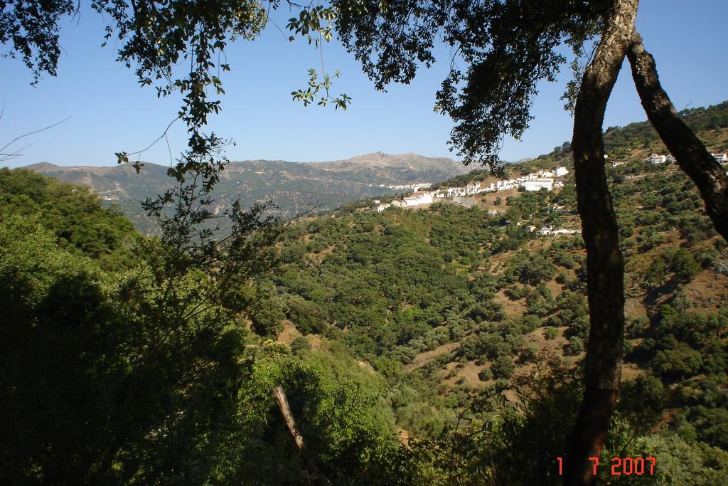 Casas Rurales Jardines Del Visir Genalguacil Εξωτερικό φωτογραφία