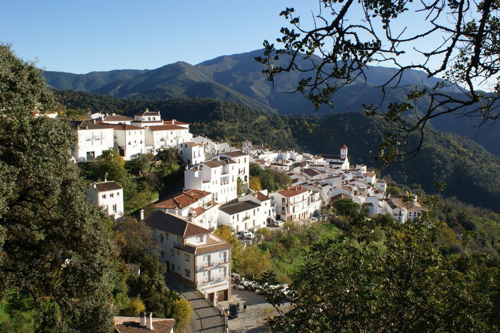 Casas Rurales Jardines Del Visir Genalguacil Εξωτερικό φωτογραφία