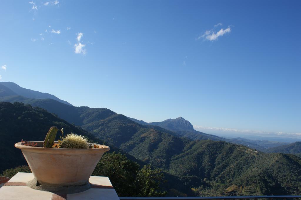 Casas Rurales Jardines Del Visir Genalguacil Εξωτερικό φωτογραφία