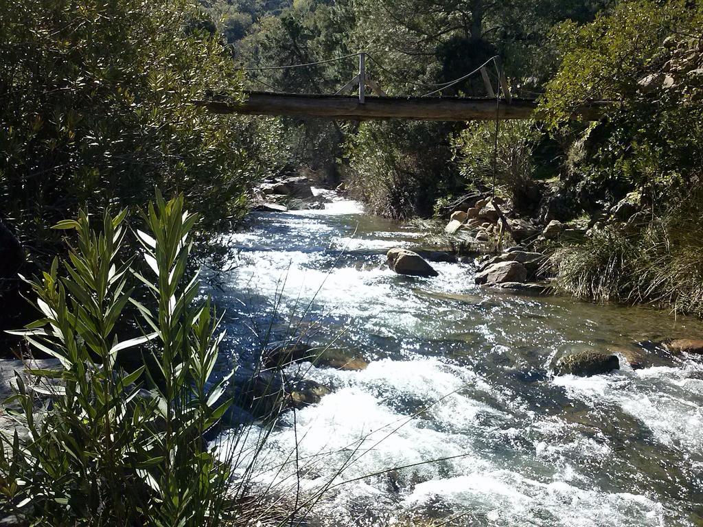 Casas Rurales Jardines Del Visir Genalguacil Εξωτερικό φωτογραφία